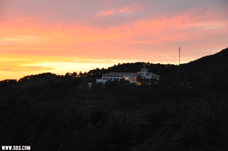 DSC_0175.JPG