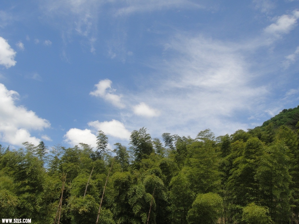 DSC02934.JPG