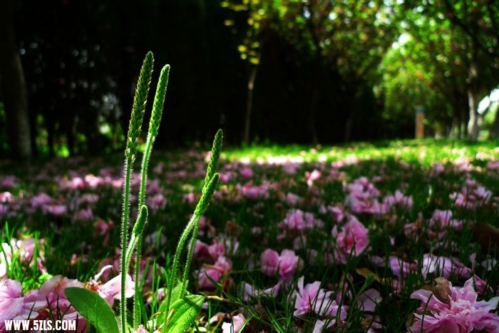 Ƭ 017.jpg
