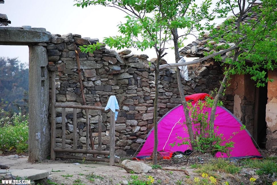 DSC_0845.JPG