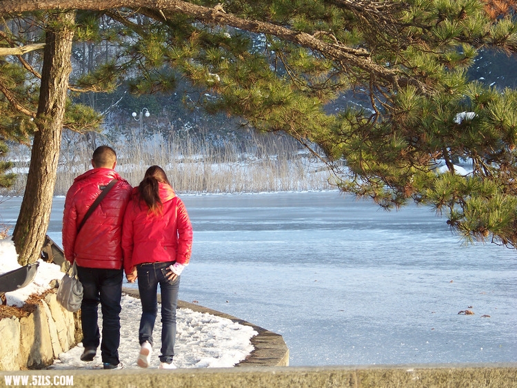 20110108ѩ®ɽGٺ (37).jpg