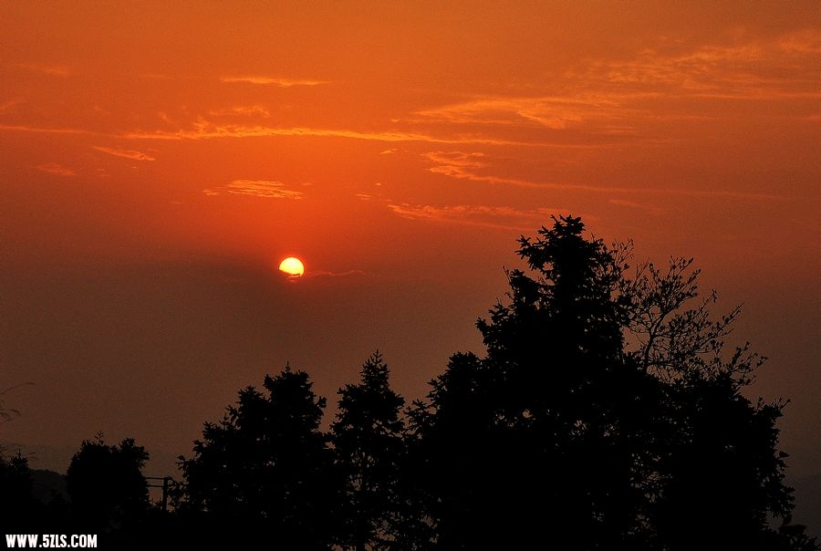 DSC_6543.jpg