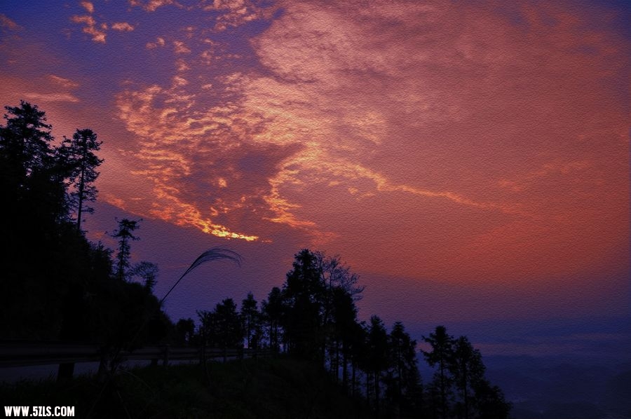 DSC_6587.jpg