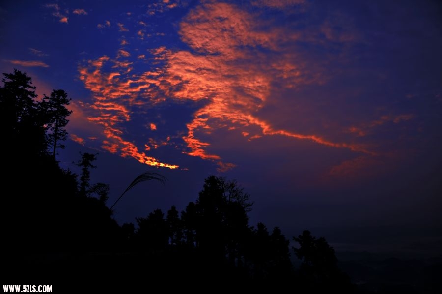 DSC_6586.jpg