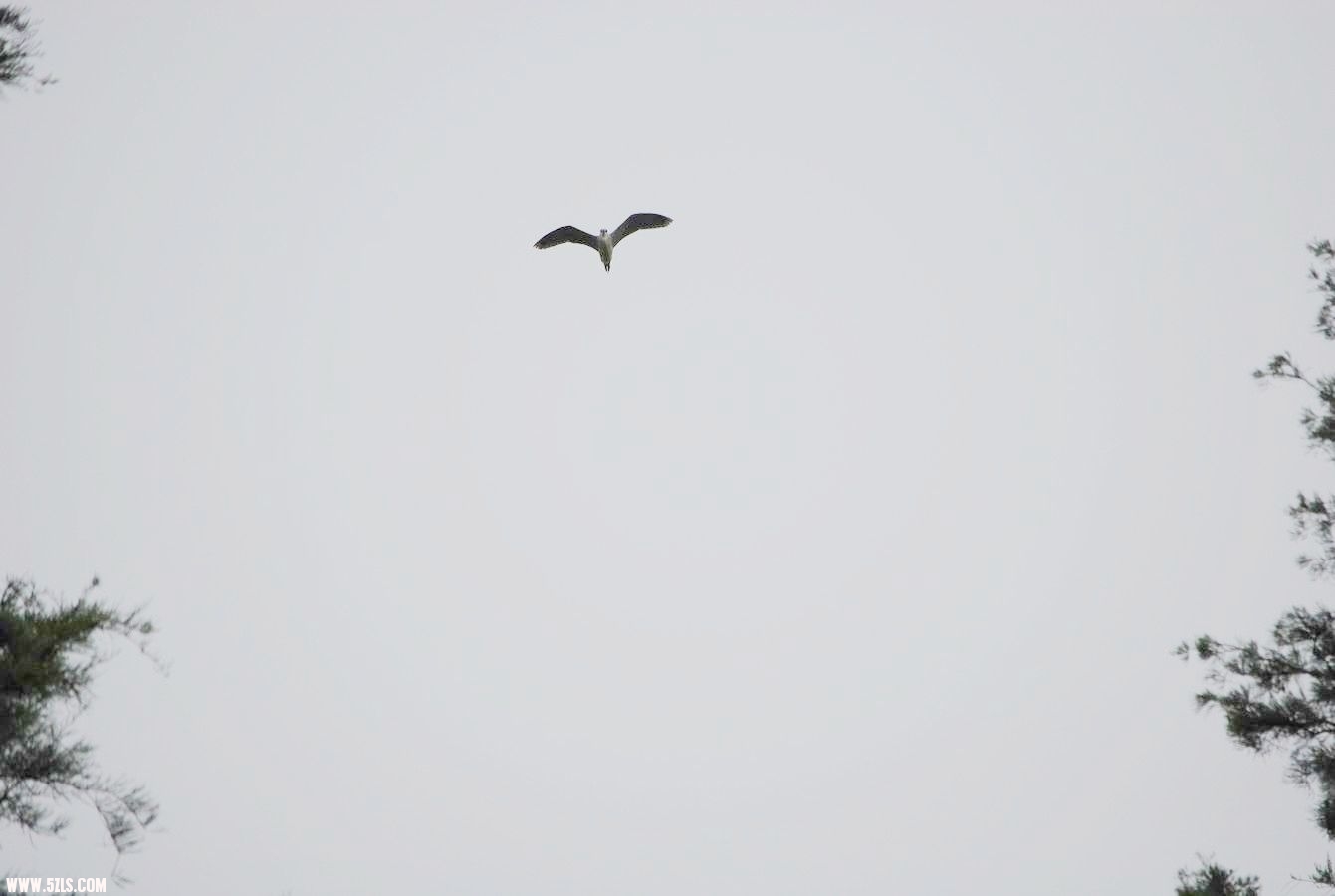 DSC_0077.JPG