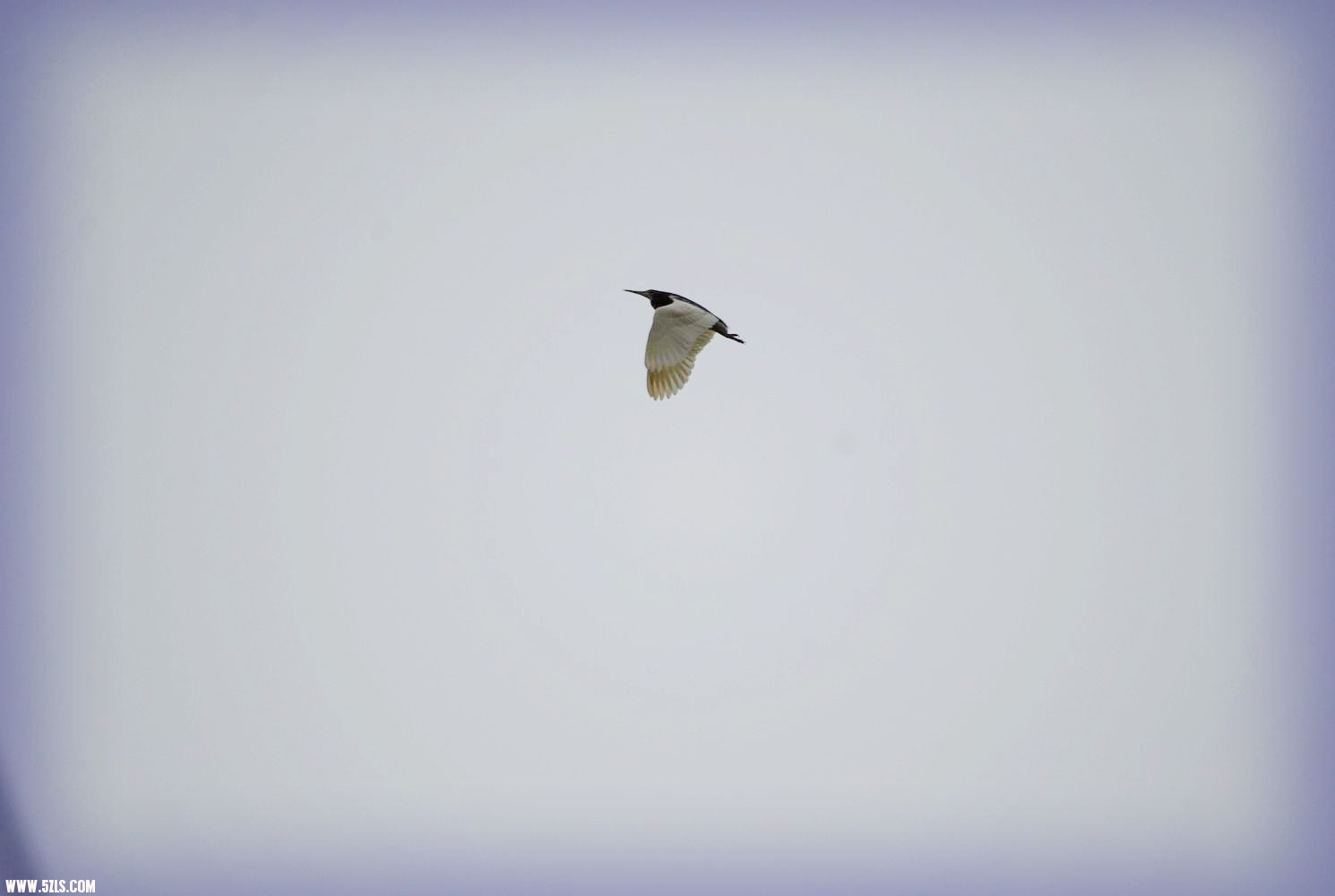 DSC_0113.JPG
