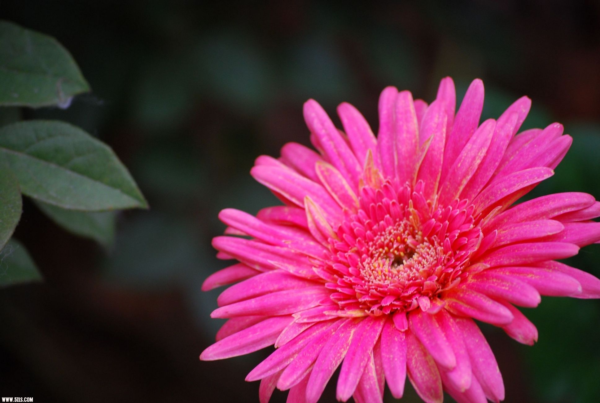 DSC_0158.JPG