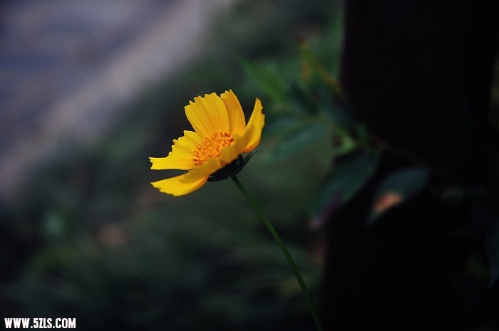 DSC_4713.jpg