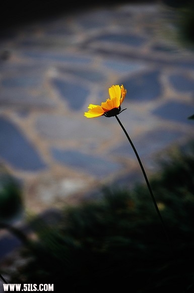 DSC_4716.jpg