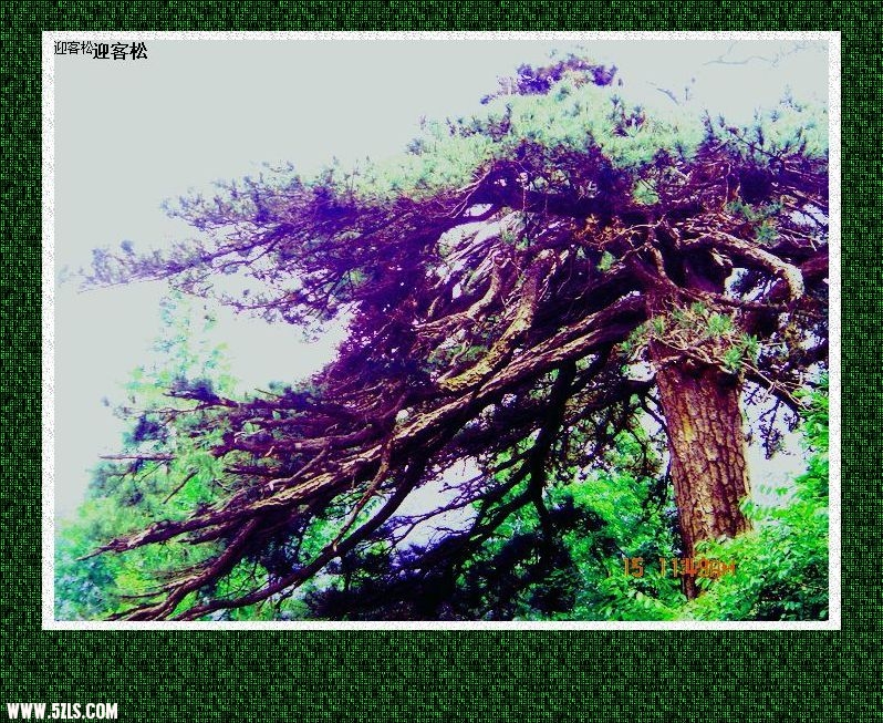 迎客