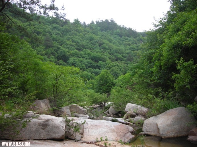 风景