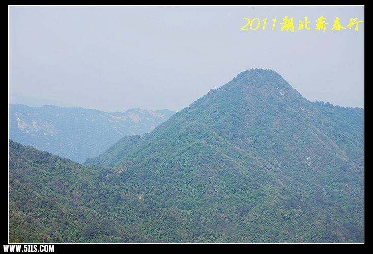DSC_0606.jpg