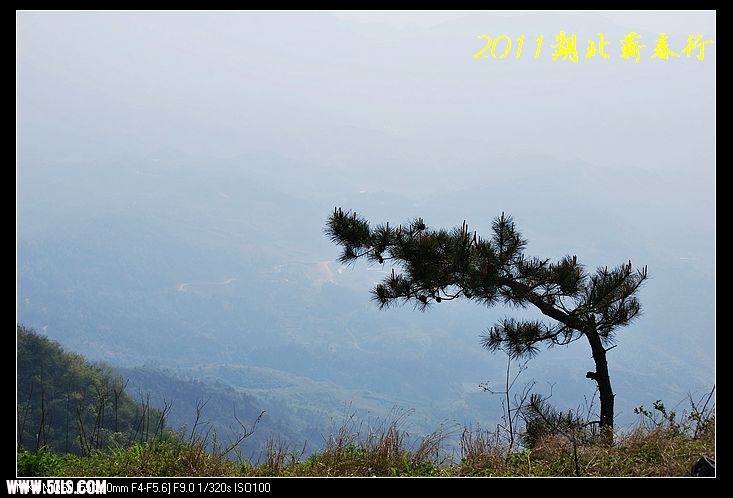 DSC_0608.jpg