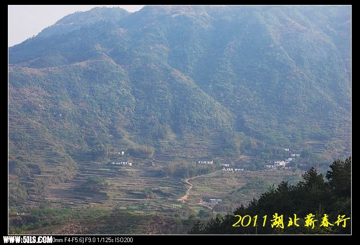 DSC_0650.jpg