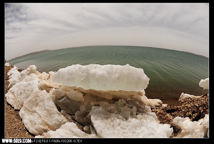 DSC_1639.jpg