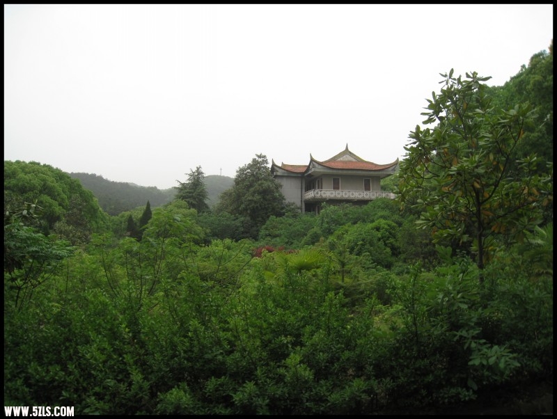conew_img_6128.jpg