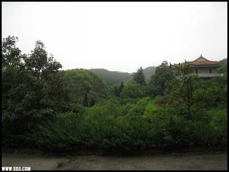 conew_img_6201.jpg