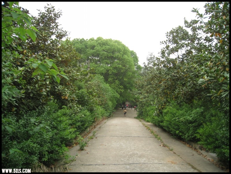 conew_img_6129.jpg