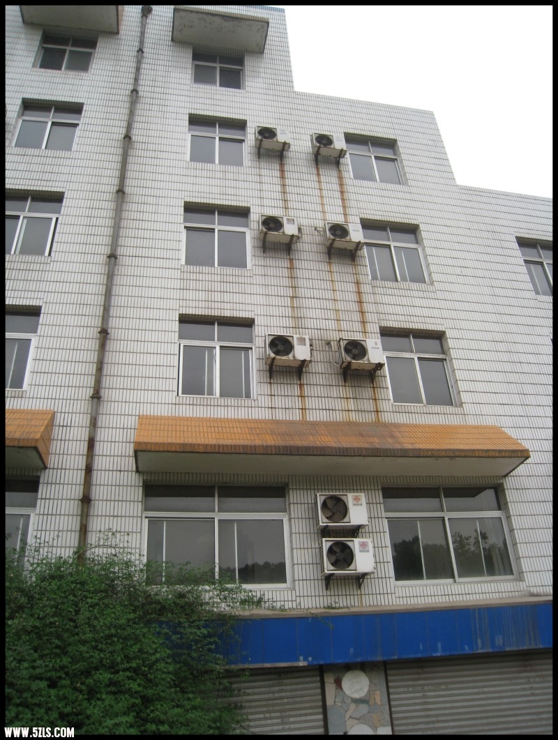 conew_img_6139.jpg