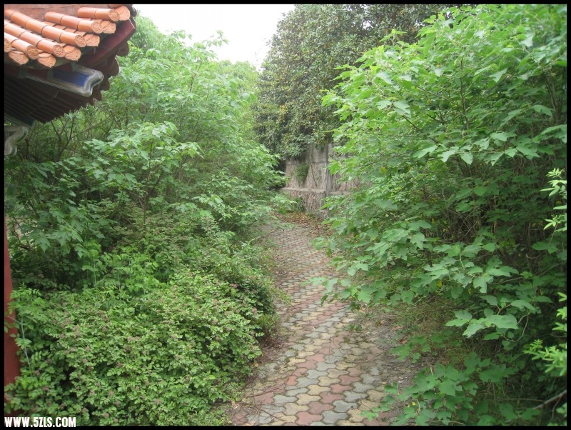conew_img_6133.jpg