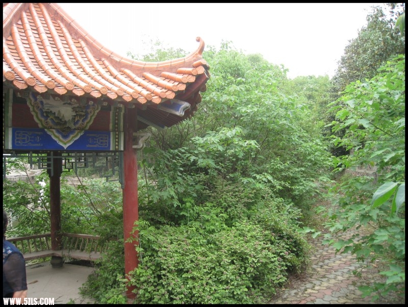 conew_img_6134.jpg