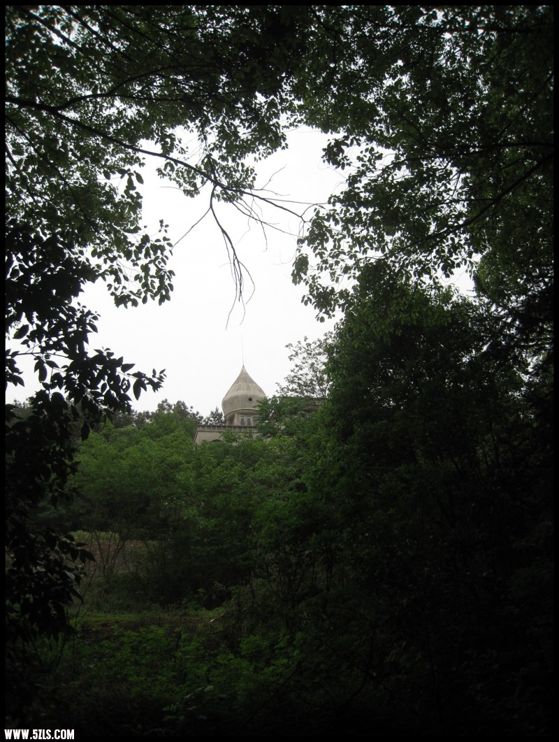 conew_img_6146.jpg
