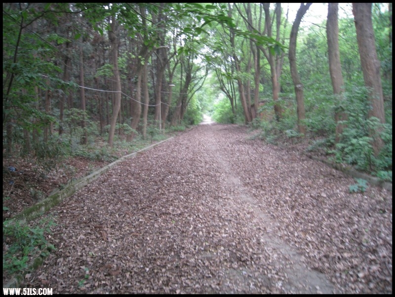 conew_img_6143.jpg