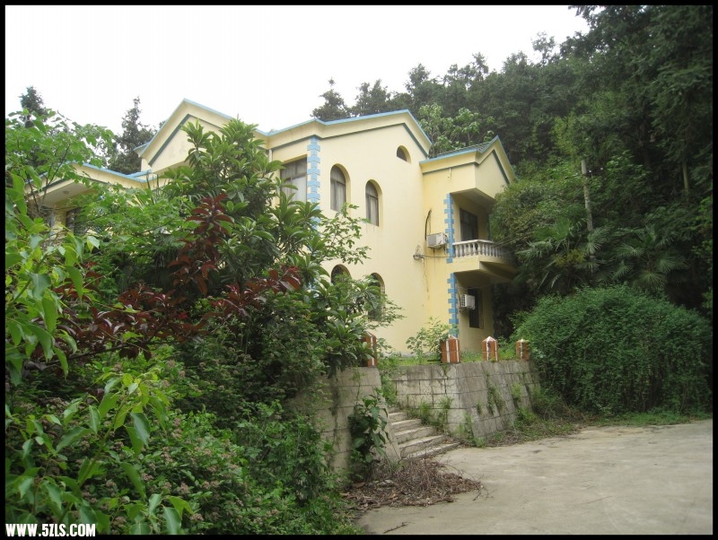 conew_img_6154.jpg