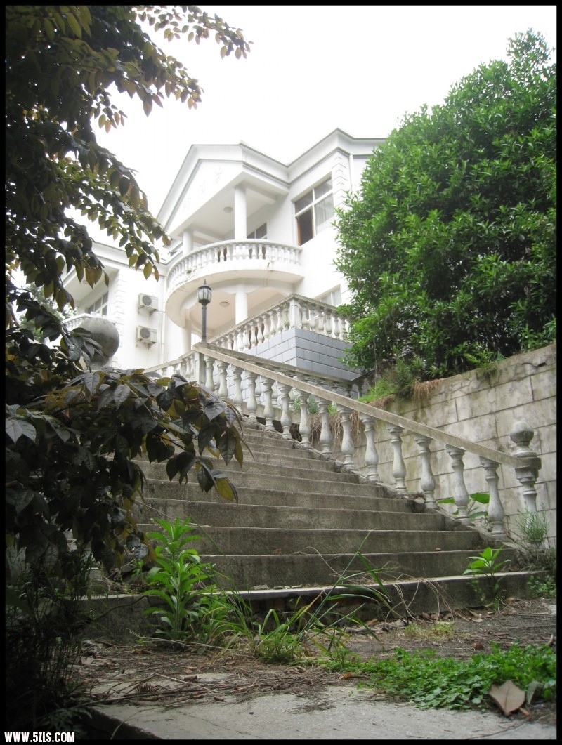 conew_img_6156.jpg
