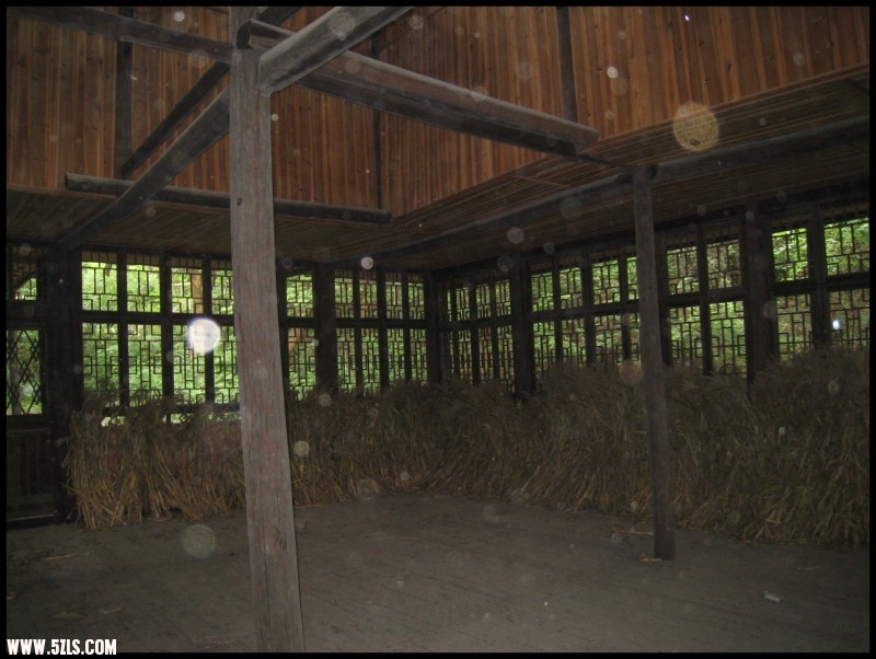 conew_img_6188.jpg