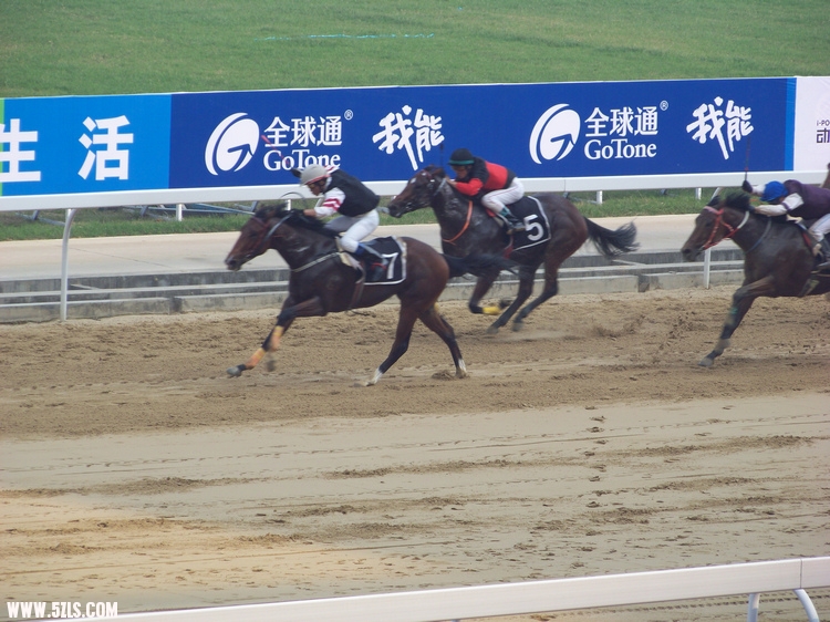 20091108߽й人7޶1700׽ (38)ӱ.jpg