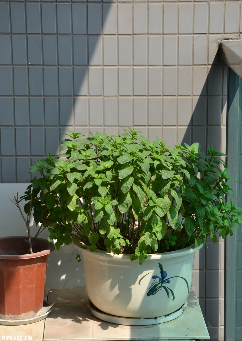 DSC_0012_缩小大小.JPG