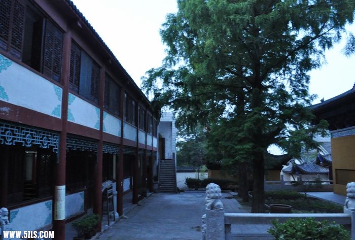  131.jpg