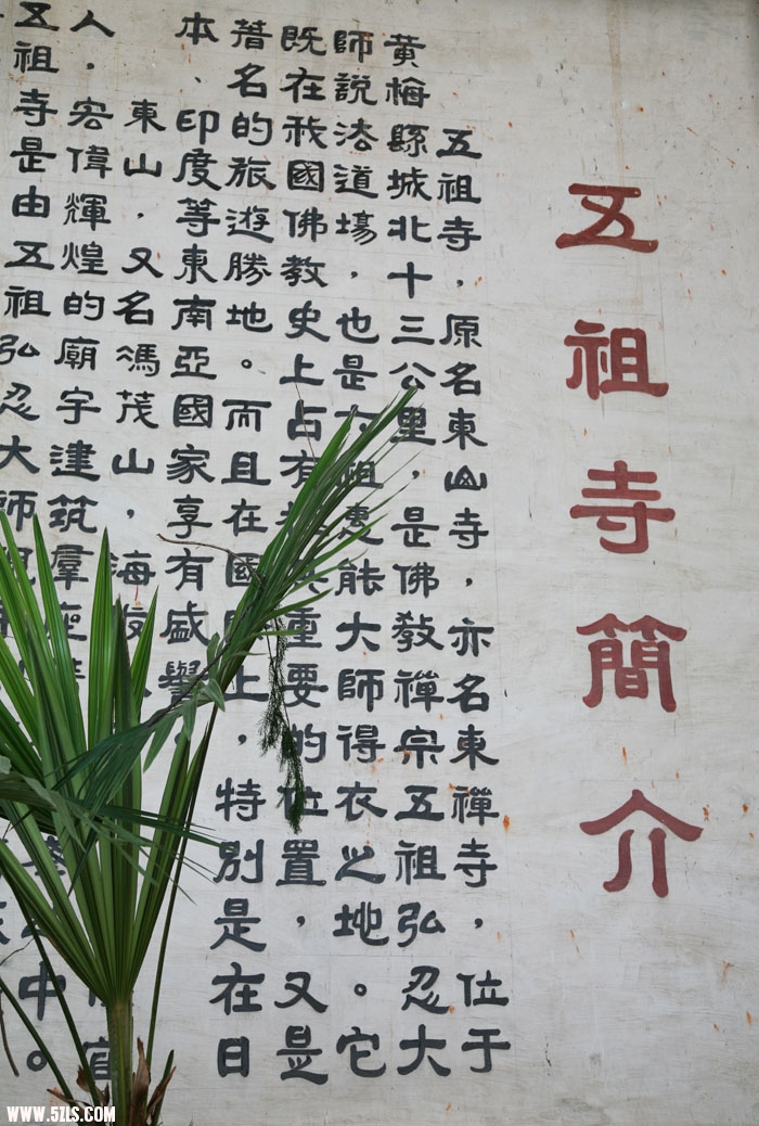 照片 506.jpg