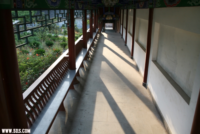 照片 534.jpg