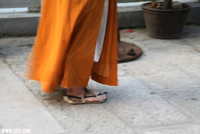 照片 509.jpg