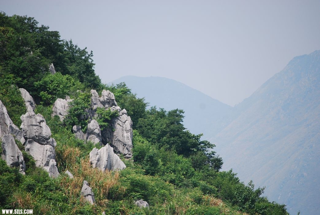 DSC_0350.JPG
