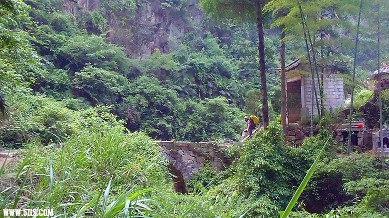 p5280093_.jpg