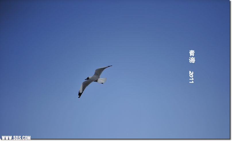 20110526ຣ 431.jpg
