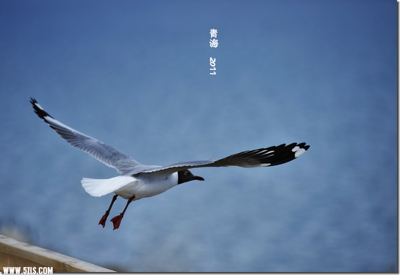 20110526ຣ 453.jpg