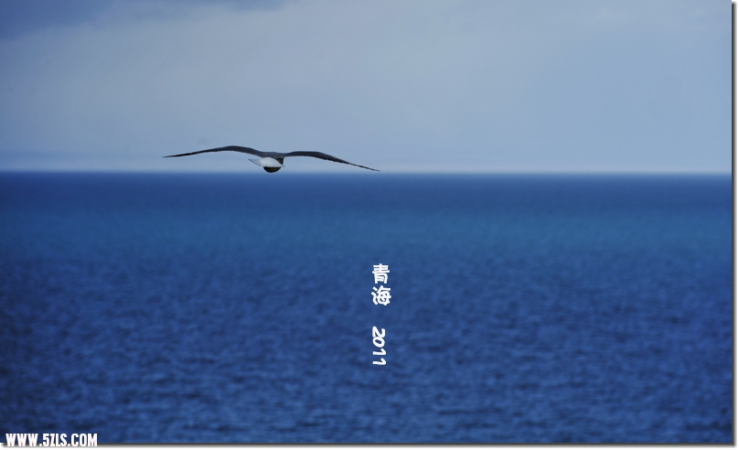 20110526ຣ 385.jpg