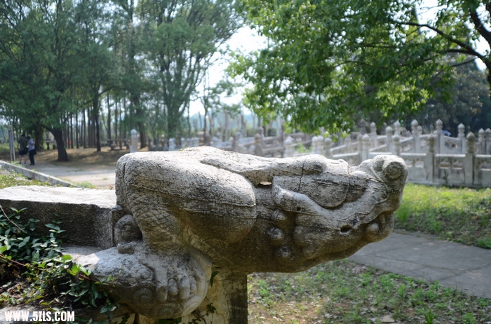 DSC_0860.jpg