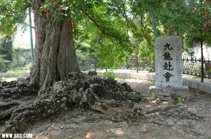 DSC_0879.jpg