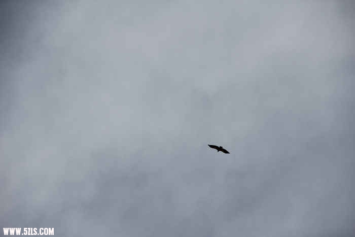 IMG_0349.JPG