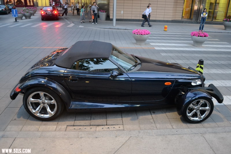 DSC_0811_СС.JPG
