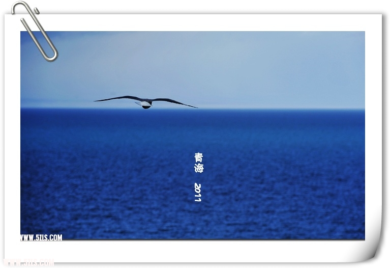 青海