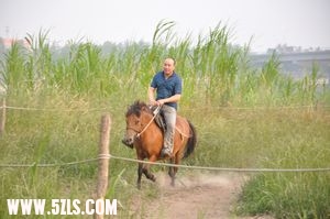nEO_IMG_DSC_0422.jpg