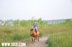 nEO_IMG_DSC_0438.jpg