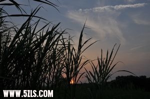nEO_IMG_DSC_0524.jpg