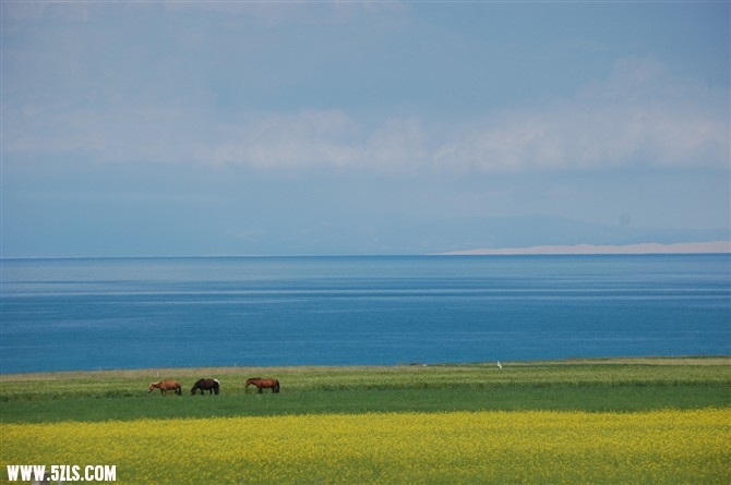 QINGHAI.jpg